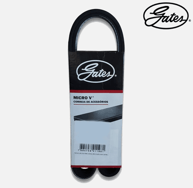 foto de CORREIA 5PK1795