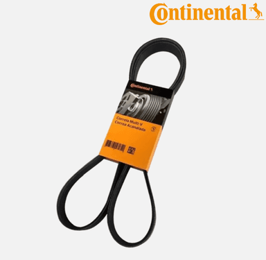 foto de CORREIA 6PK1795