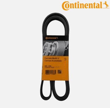 foto de CORREIA 5PK1795