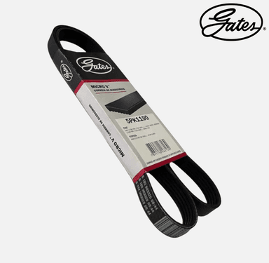 foto de CORREIA 5PK1190